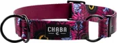Obroże dla psów - Chaba CHABA OBROŻA PÓŁZACISK STORY ``M`` LAKOTA 2,5/26-50cm - miniaturka - grafika 1