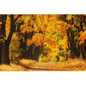 Kalendarze - Michalczyk i Prokop Spółka z o.o. Kalendarz trójdzielny Mipro T-105T-03 315x855mm T-105T-03 - miniaturka - grafika 1