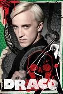 Plakaty - Harry Potter Draco Malfoy - plakat 61x91,5 cm - miniaturka - grafika 1