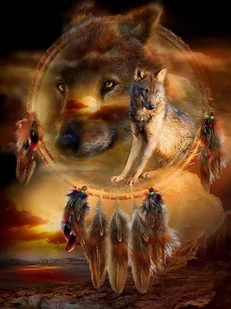 Norimpex Obraz Malowanie po numerach - Wilk w łapaczu snów - Malowanie po numerach Norimpex Obraz Malowanie po numerach - Wilk w łapaczu snów - Malowanie po numerach - miniaturka - grafika 1