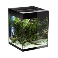 Akwaria i zestawy akwarystyczne - AQUAEL Zestaw akwariowy GLOSSY CUBE D&N - czarny - miniaturka - grafika 1