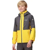 Kurtki i płaszcze dla chłopców - Kurtka chłopięca Regatta Hydrate VIII 3w1 wodoodporna z latarką żółta-116 - REGATTA - miniaturka - grafika 1
