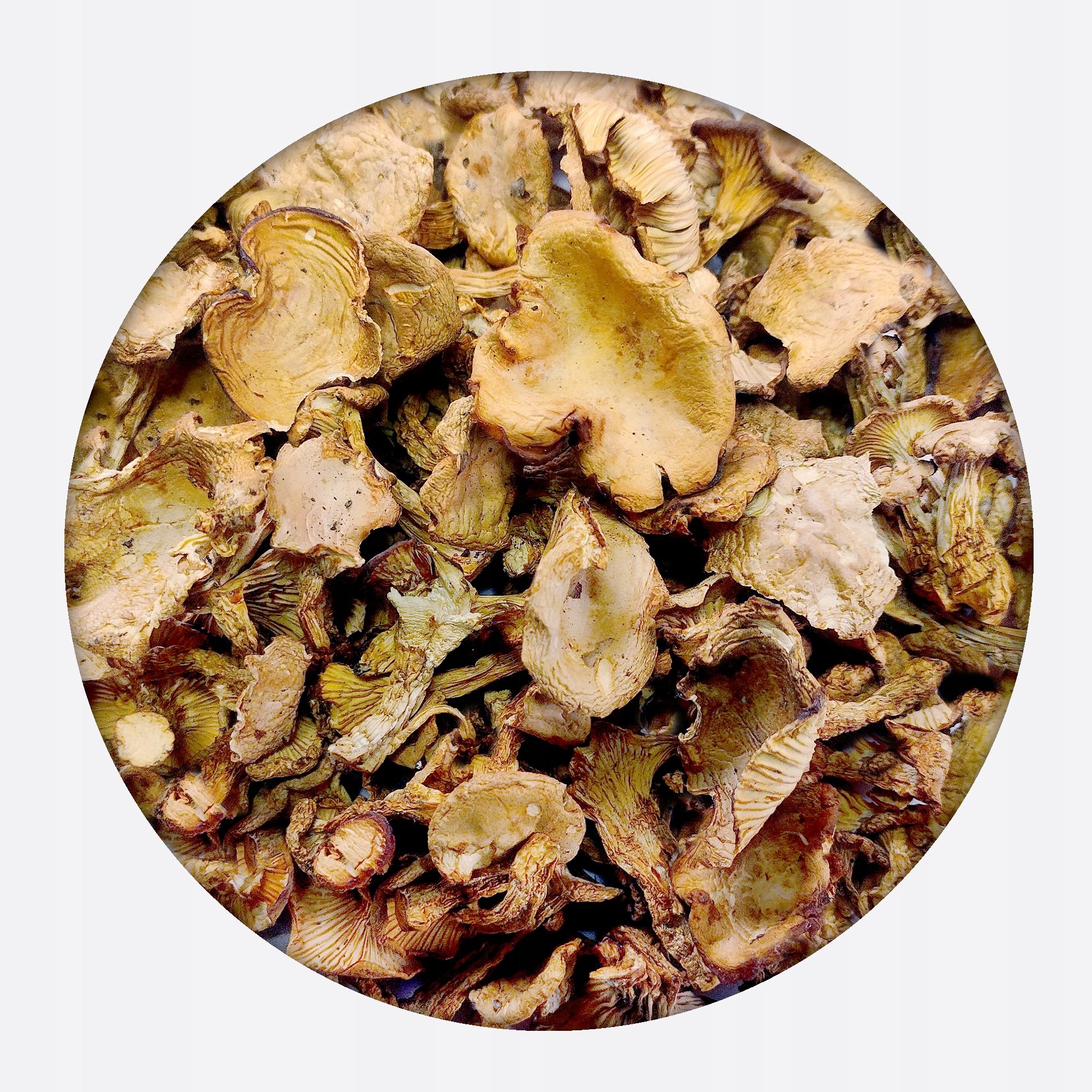 Kurka cała suszona pieprznik jadalny grzyb 500 g