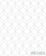 Tapety - Superfresco Easy Biała tapeta z geometrycznym srebrnym linearnym wzorem 104121_opcje - miniaturka - grafika 1