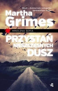Przystań nieszczęsnych dusz - Kryminały - miniaturka - grafika 1