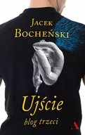 Felietony i reportaże - Ujście Blog trzeci Nowa - miniaturka - grafika 1