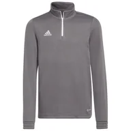 Bluzy dla chłopców - adidas Bluza ENTRADA 22 Training Top Y H57549 szara - miniaturka - grafika 1