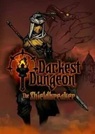 Gry PC Cyfrowe - Darkest Dungeon : The Shieldbreaker (PC) Klucz Steam - miniaturka - grafika 1