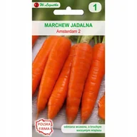 Nasiona i cebule - Legutko Marchew AMSTERDAM 2 - miniaturka - grafika 1