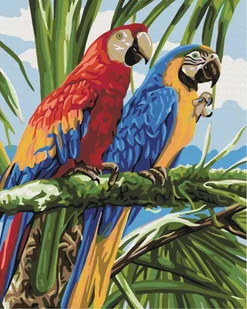Symag Obraz Paint it! Malowanie po numerach. Kolorowe papugi GXP-792664 - Malowanie po numerach - miniaturka - grafika 1