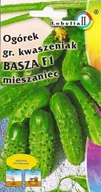 Nasiona i cebule - Ogórek konserwowy Basza f1 2g / L / - miniaturka - grafika 1