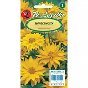 Nasiona i cebule - Słoneczniczek Heliopsis 0,5 G - miniaturka - grafika 1