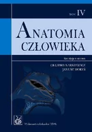 Zdrowie - poradniki - Anatomia człowieka t.4 - Wydawnictwo Lekarskie PZWL - miniaturka - grafika 1