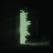 Muzyka elektroniczna - Fink Horizontalism CD) Fink - miniaturka - grafika 1