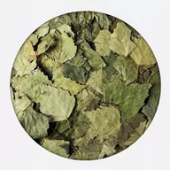 Herbata - Brzoza liść Brzozy cały suszony certyfikowany 500g - miniaturka - grafika 1