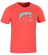 Koszulki męskie - 4F CHĹOPIÄCA KOSZULKA T-SHIRT BAWEĹNA / rozm 146 - miniaturka - grafika 1