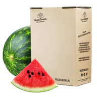 Soki i napoje niegazowane - Sok 100% tłoczony z arbuza 3L - miniaturka - grafika 1