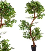 Sztuczne kwiaty - Sztuczne Drzewo Japońska Sophora 160Cm Perełkowiec - miniaturka - grafika 1