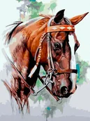 Malowanie po numerach - Obraz Malowanie Po Numerach Na Krośnie + Rama - miniaturka - grafika 1