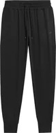 Legginsy - Spodnie damskie 4F F454 czarne 4FWSS24TFTRF454 20S-M - miniaturka - grafika 1
