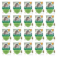 Artykuły przeciw pasożytom - Krople na pchły BAYER Advantage Małe koty 80 x 0.4 ml - miniaturka - grafika 1