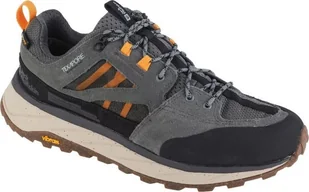 Buty trekkingowe męskie Jack Wolfskin Jack Wolfskin Terraquest Texapore Low M 4056401-6301 szary 46 - Buty trekkingowe męskie - miniaturka - grafika 1