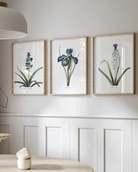 Obrazy i zdjęcia - Zestaw trzech plakatów- Niebieski Redoute - miniaturka - grafika 1