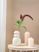 Dekoracje domu - Sinsay - Roślina ozdobna - fioletowy - miniaturka - grafika 1