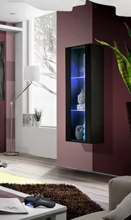 Signal WITRYNA WISZĄCA MAŁA FLY 21 CZARNY POŁYSK + LED 23 ZZ FY 21 - Witryny - miniaturka - grafika 1