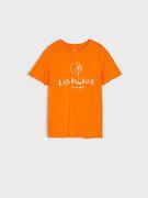 Koszulki dla chłopców - Sinsay - Koszulka - pomarańczowy - miniaturka - grafika 1