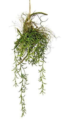 Tillandsia wisząca wisząca doniczka na gałęzi, sztuczny mech, roślina zielona, roślina pokojowa, jedwabne kwiaty, dekoracja, islandzki sztuczny mech, wisząca girlanda krzewów