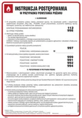 Instrukcje stanowiskowe BHP - DB003 INSTRUKCJA POSTĘPOWANIA W PRZYPADKU POWSTANIA POŻARU, FN - FOLIA SAMOPRZYLEPNA; (245X350MM) - miniaturka - grafika 1