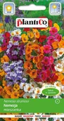 Nasiona i cebule - Nemezja Mieszanka 0,3g PlantiCo - miniaturka - grafika 1