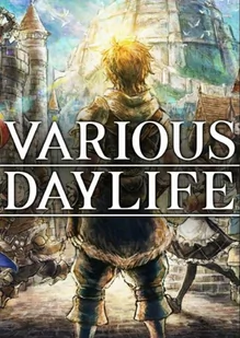 Various Daylife (PC) klucz Steam - Gry PC Cyfrowe - miniaturka - grafika 1