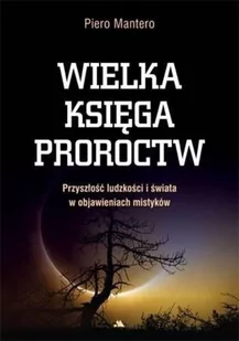 Wielka księga proroctw. Przyszłość ludzkości i świata w objawieniach mistyków - Religia i religioznawstwo - miniaturka - grafika 2