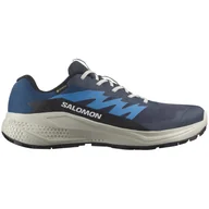 Buty trekkingowe męskie - Buty do biegania dla mężczyzn Salomon Alphaglide Gore-Tex Rozmiar butów (UE): 42 / Kolor: niebieski - miniaturka - grafika 1