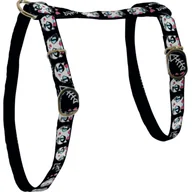 Szelki dla kotów - Szelki nylonowe dla kota LADYCAT 10 mm czarny ZOLUX - miniaturka - grafika 1