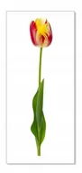 Naklejki na ścianę - Naklejka ścienna kwiaty kwiatki 30cm Tulipan 17, 30x5 cm - miniaturka - grafika 1