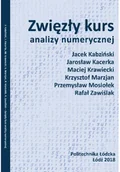 Matematyka - Zwięzły kurs analizy numerycznej - miniaturka - grafika 1