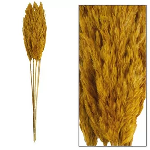 Trawa pampasowa Kyan ochra 75 cm - Sztuczne kwiaty - miniaturka - grafika 1
