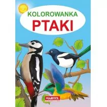 Ptaki, Kolorowanka - Jarosław Żukowski - Kolorowanki, wyklejanki - miniaturka - grafika 1