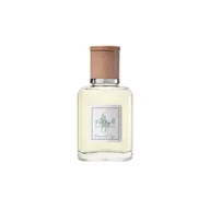 Wody i perfumy damskie - Ralph Lauren Polo Earth Provencial Sage Woda toaletowa 40 ml - miniaturka - grafika 1