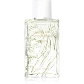 Wody i perfumy męskie - Rochas Eau de Rochas Homme woda toaletowa 100 ml - miniaturka - grafika 1
