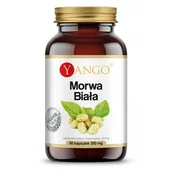 Suplementy naturalne - Yango Morwa Biała (60 kaps.) - miniaturka - grafika 1
