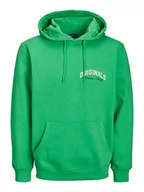 Bluzy męskie - JACK & JONES PLUS Męska bluza z kapturem JORBRINK Studio Sweat Hood PLS, Island Green, 3XL, zielony, 3XL - miniaturka - grafika 1