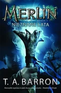 Horror, fantastyka grozy - Merlin. Księga I. Nieznane lata - miniaturka - grafika 1