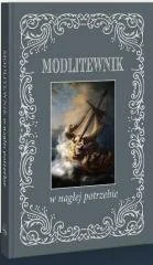 Wydawnictwo Diecezjalne Sandomierz Modlitewnik w nagłej potrzebie praca zbiorowa - Religia i religioznawstwo - miniaturka - grafika 2