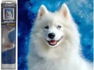 Zabawki kreatywne - *****Diamentowa mozaika pies bi..2003054 30546 - miniaturka - grafika 1