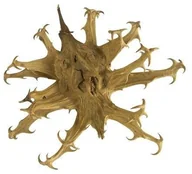 Akcesoria jeździeckie - EQUIHERBS Czarci pazur 0,5 kg - miniaturka - grafika 1