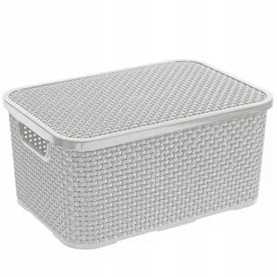 BranQ Branq Rattan M 28,8 X 19,7 Cm Biały Koszyk Do Przechowywania Plastikowy Z Pokrywką - Pudła i pojemniki do przechowywania - miniaturka - grafika 1